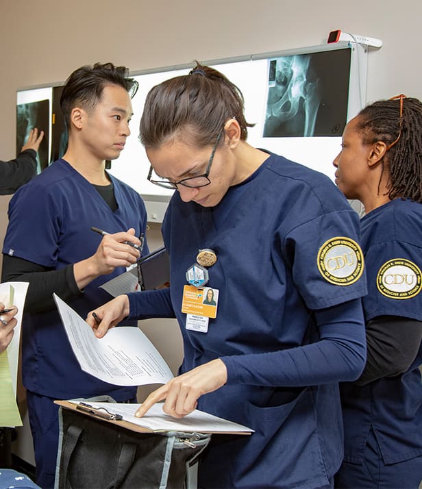 Rad Tech students looking at scans