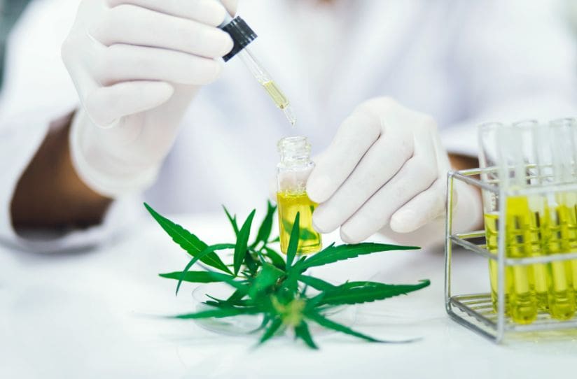 Canabis-Research