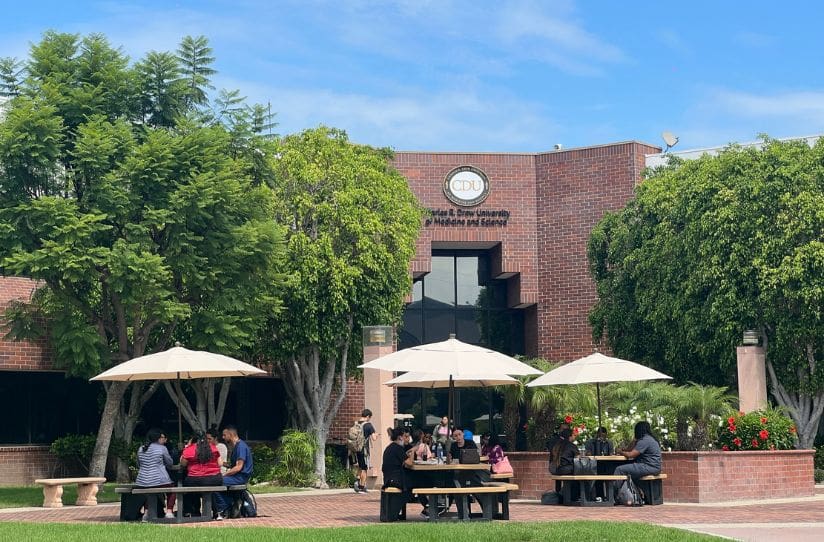 CDU cobb lawn